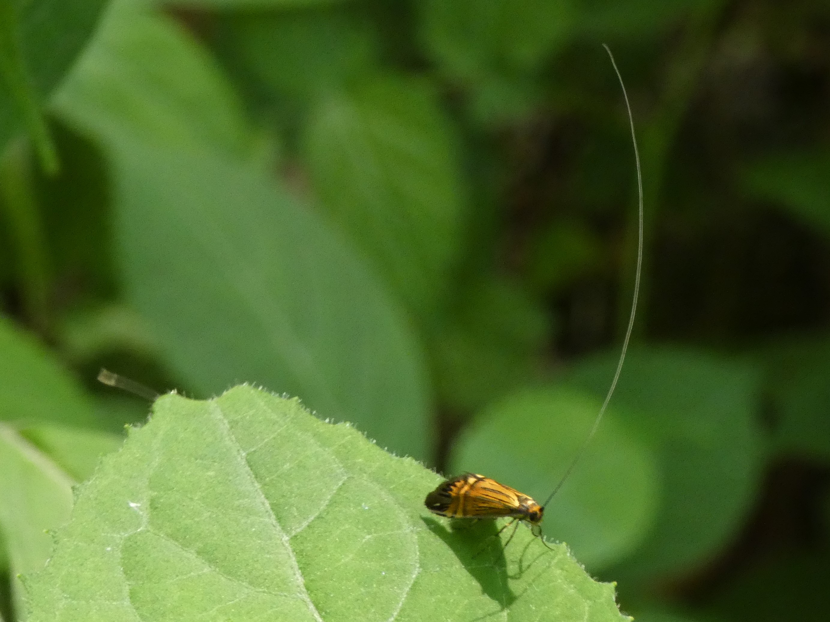 photo_1